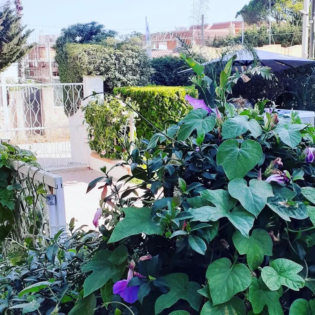 Sottovento Marzamemi Rooms&Relax 외부 사진